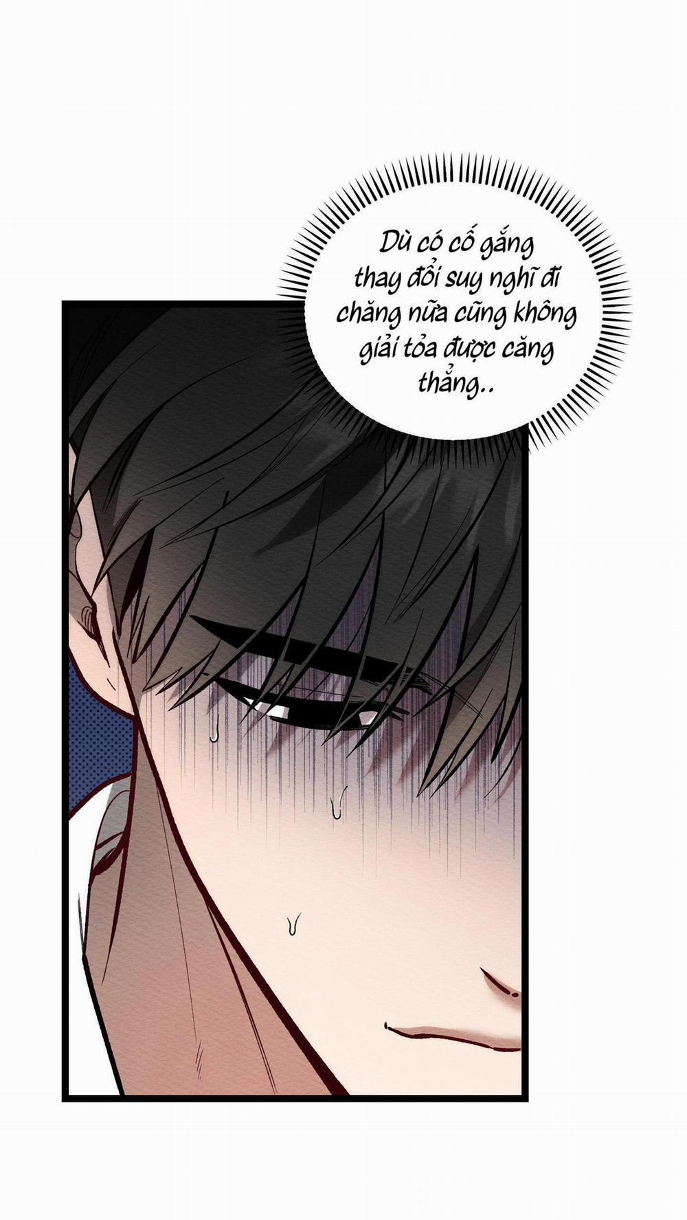 Thể Loại Lãng Mạn 12 trang 15