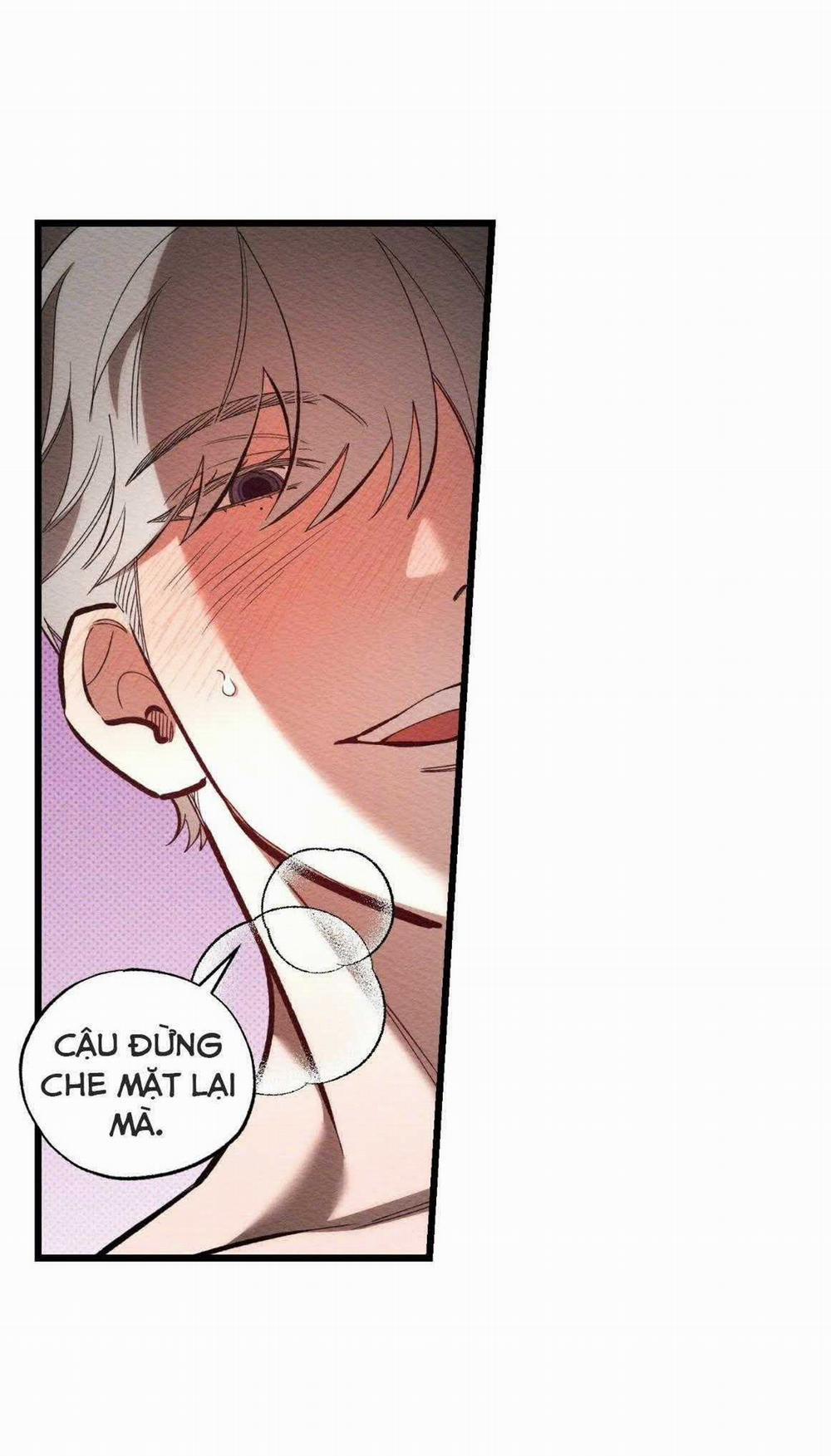 Thể Loại Lãng Mạn 24 trang 19