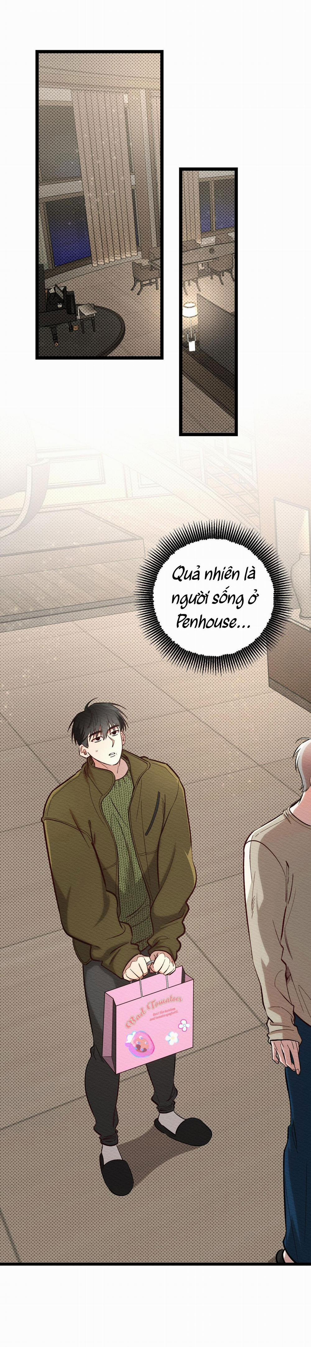 Thể Loại Lãng Mạn 5 trang 8