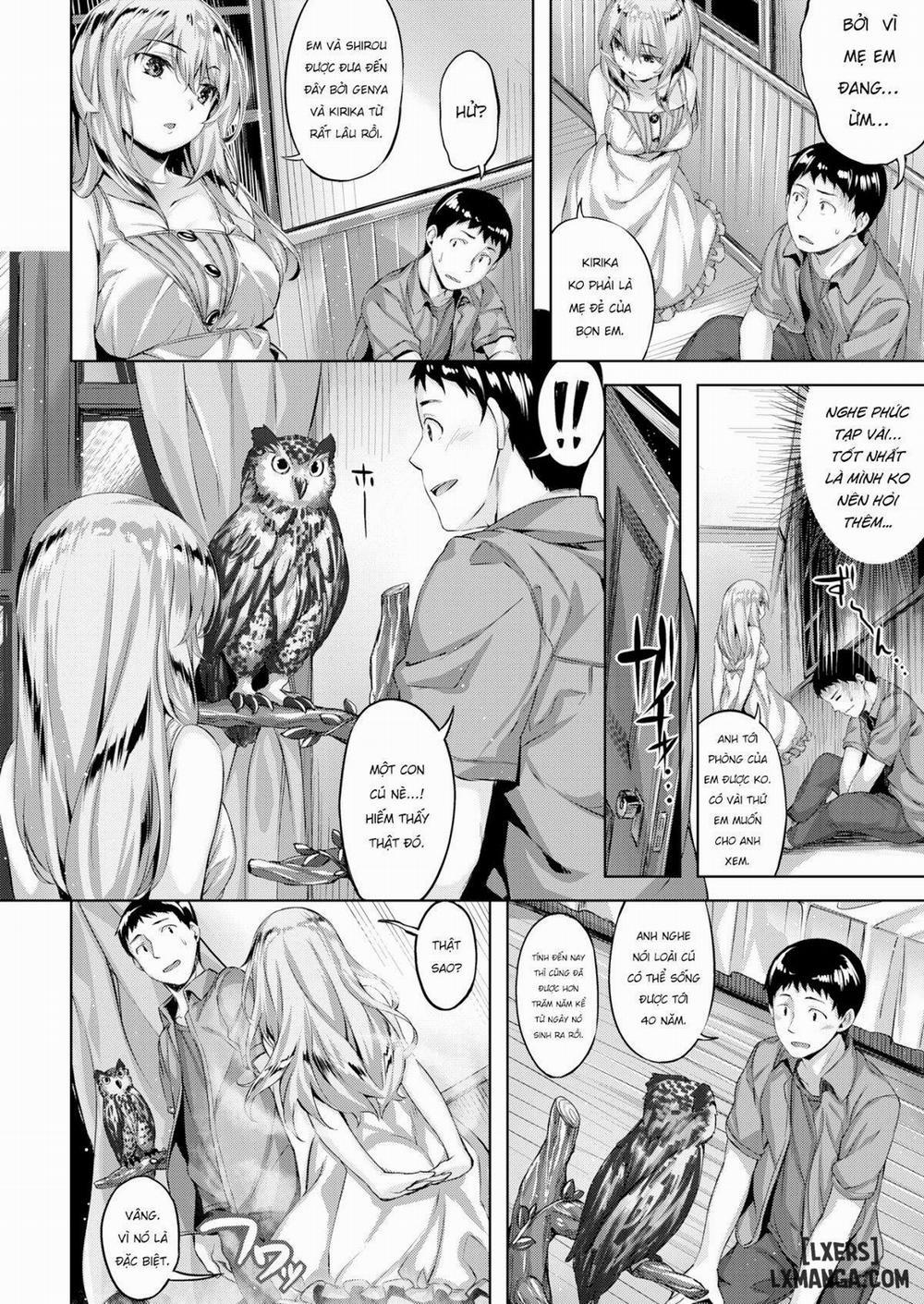 The Owl's Mansion 1 trang 5