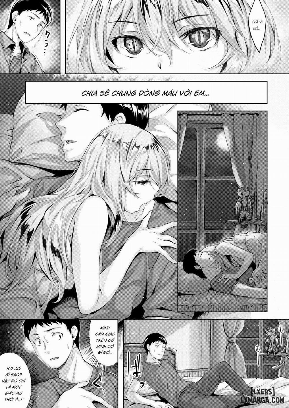 The Owl's Mansion 1 trang 6