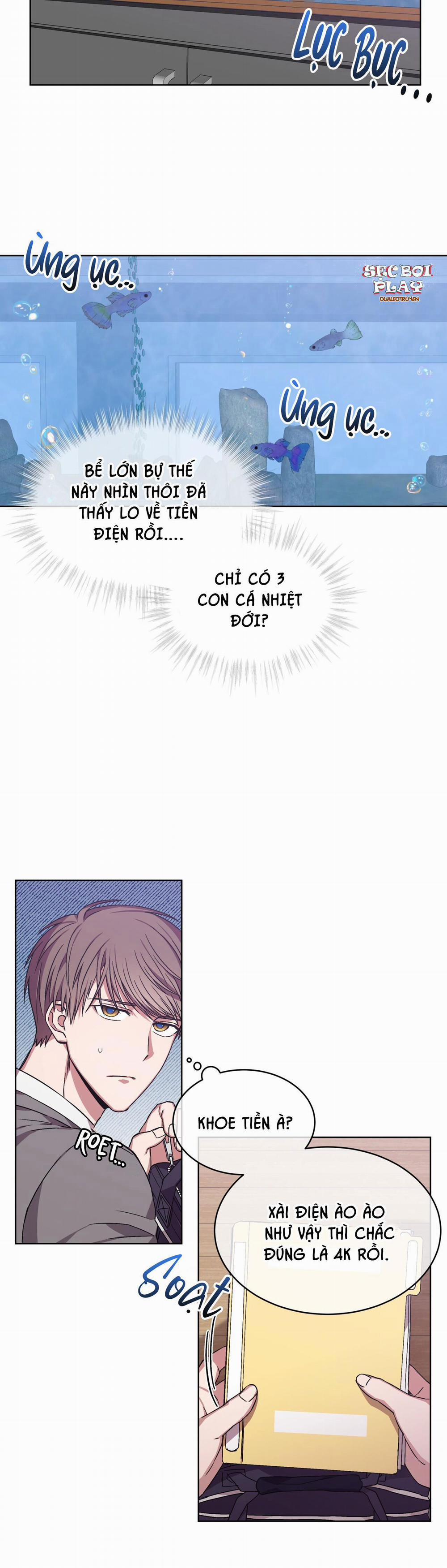 The Perfect 5 trang 5