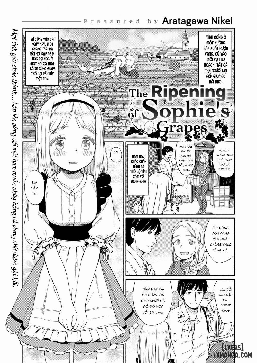 The Ripening of Sophie’s Grapes Oneshot trang 0