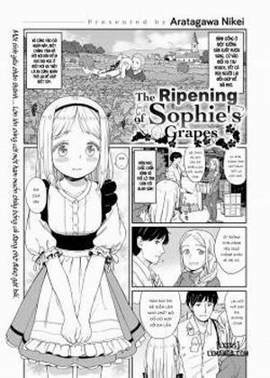 Đọc truyện tranh The Ripening of Sophie’s Grapes