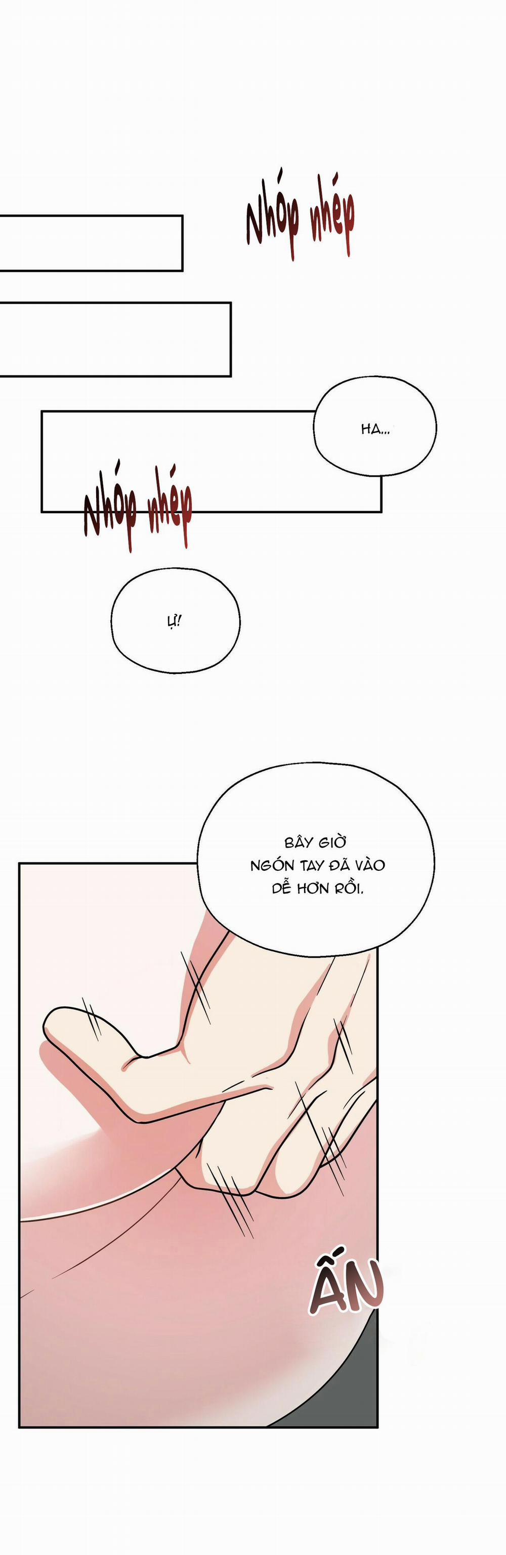 THE SCATTER 9 trang 27