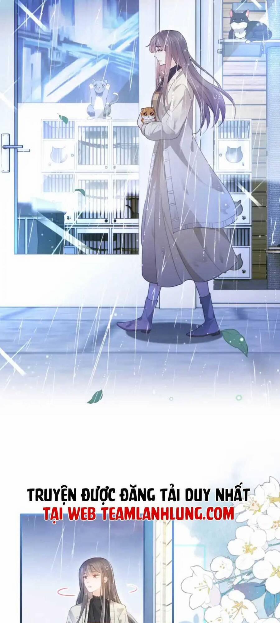 Thế Thân Hào Môn 8 trang 12