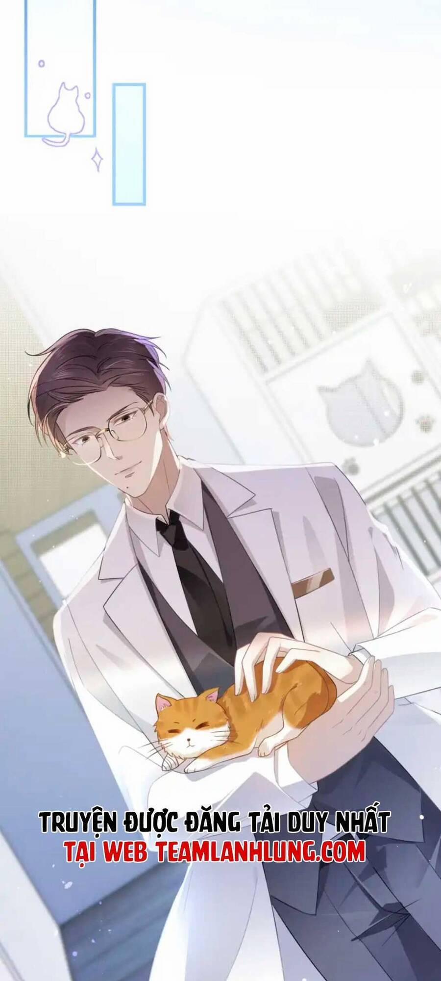 Thế Thân Hào Môn 8 trang 19