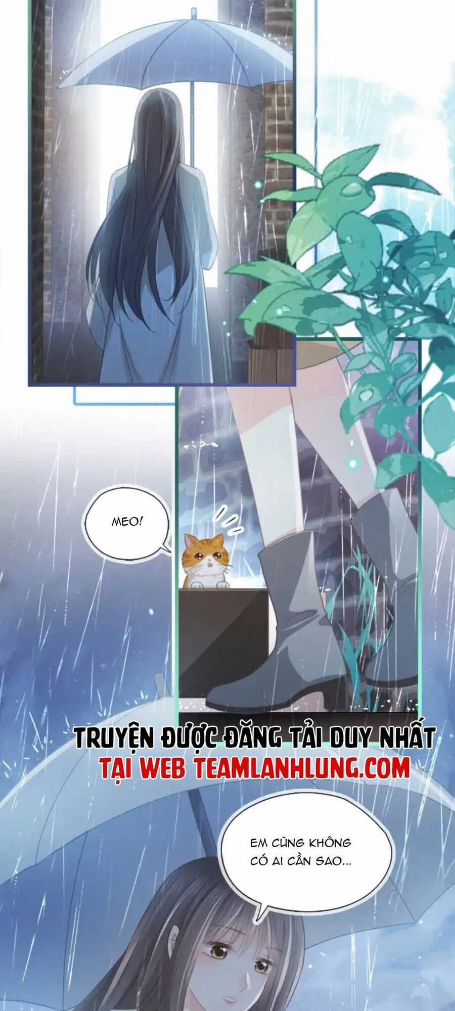 Thế Thân Hào Môn 8 trang 6