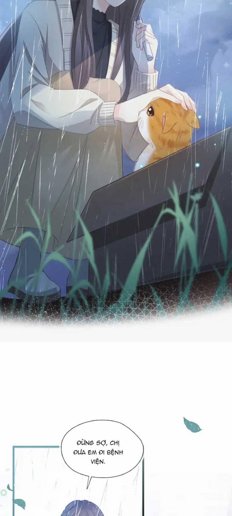 Thế Thân Hào Môn 8 trang 7