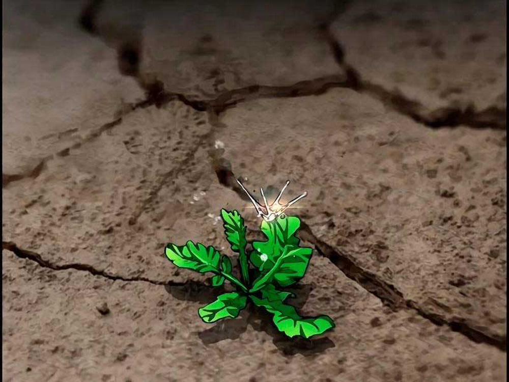 Thể Thao Cực Hạn 463.5 trang 33