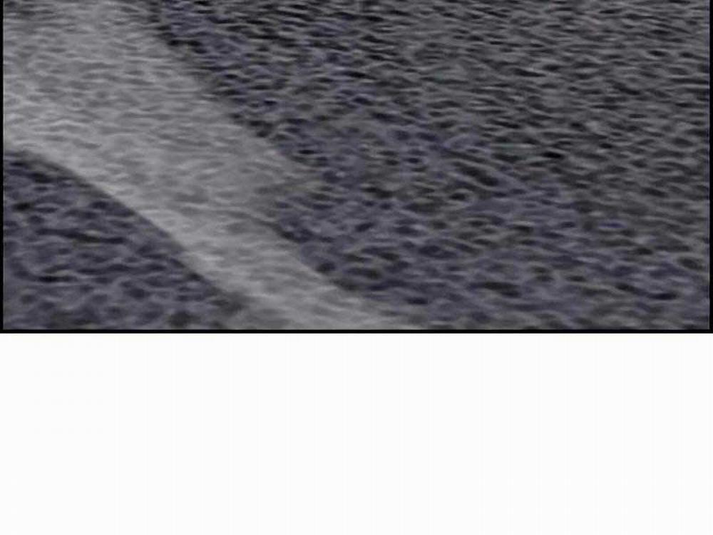 Thể Thao Cực Hạn 465 trang 256