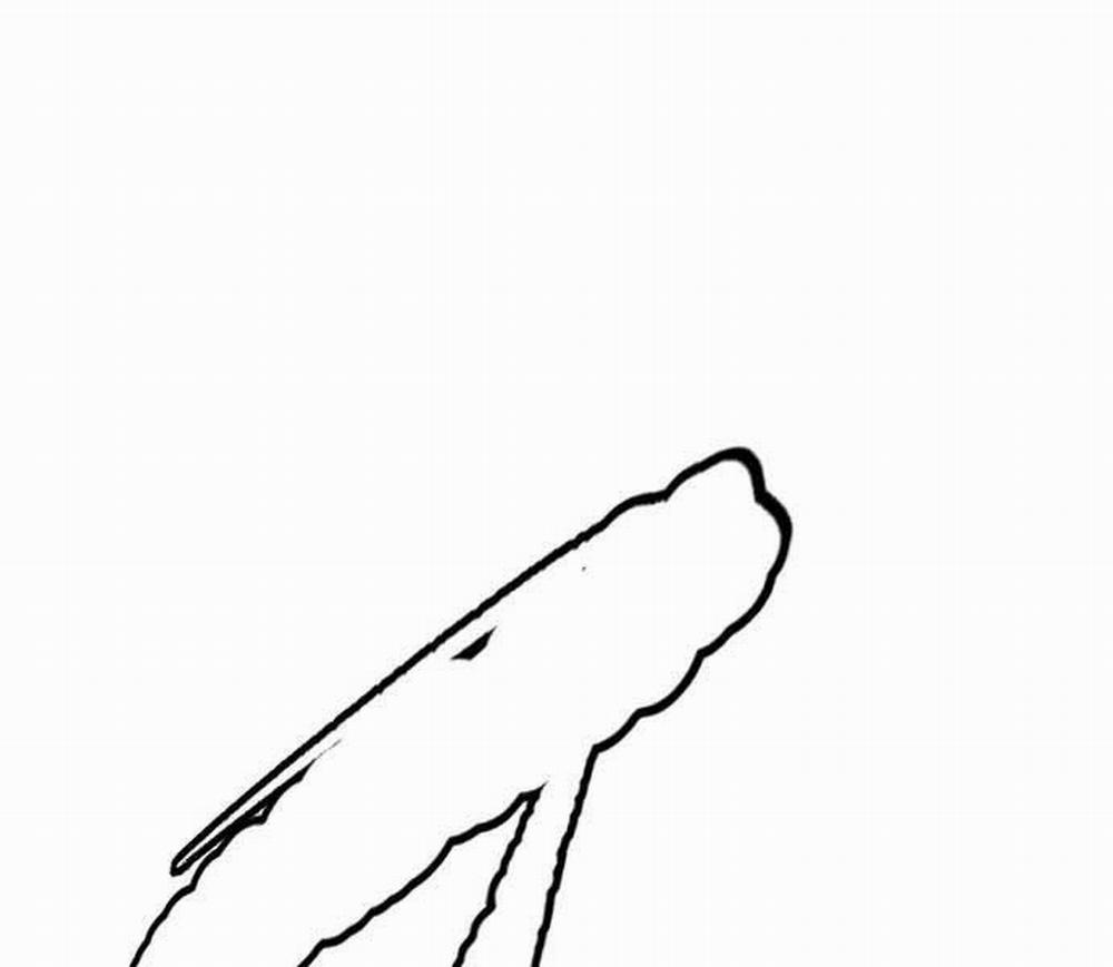 Thể Thao Cực Hạn 481 trang 316