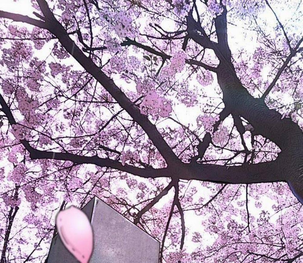 Thể Thao Cực Hạn 496.5 trang 1