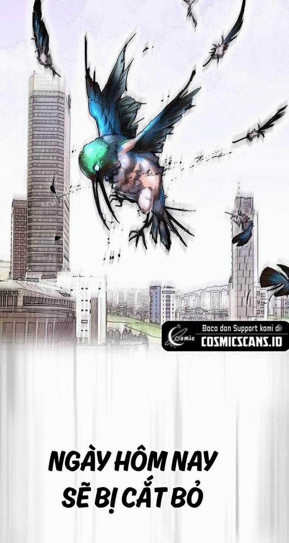 Thể Thao Cực Hạn 500 trang 36