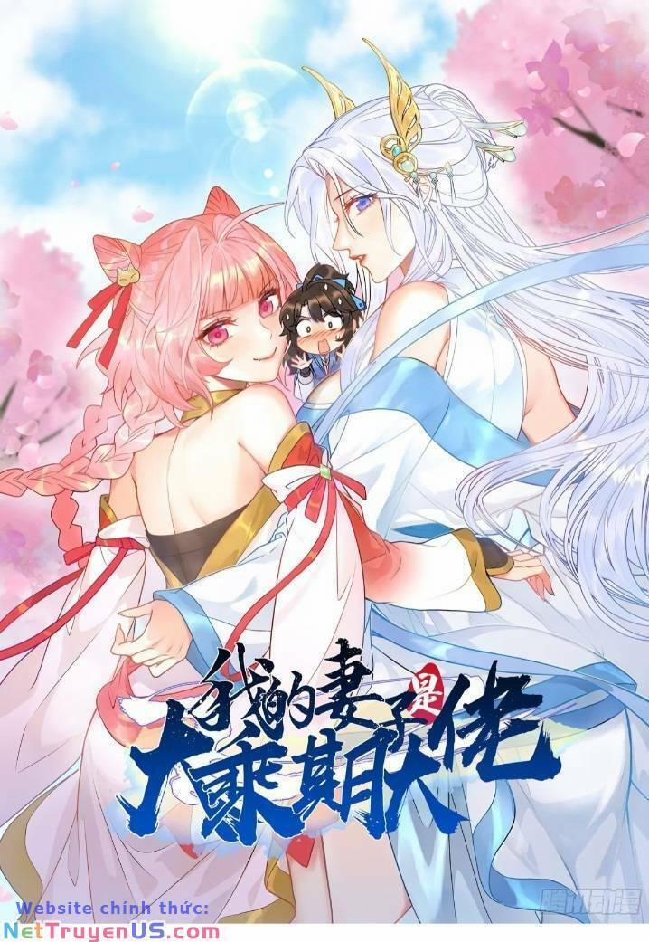 Thê Tử Của Ta Là Đại Lão Đại Thừa Kỳ 12 trang 0