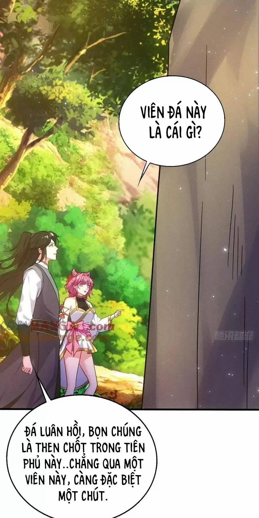 Thê Tử Của Ta Là Đại Lão Đại Thừa Kỳ 72 trang 21