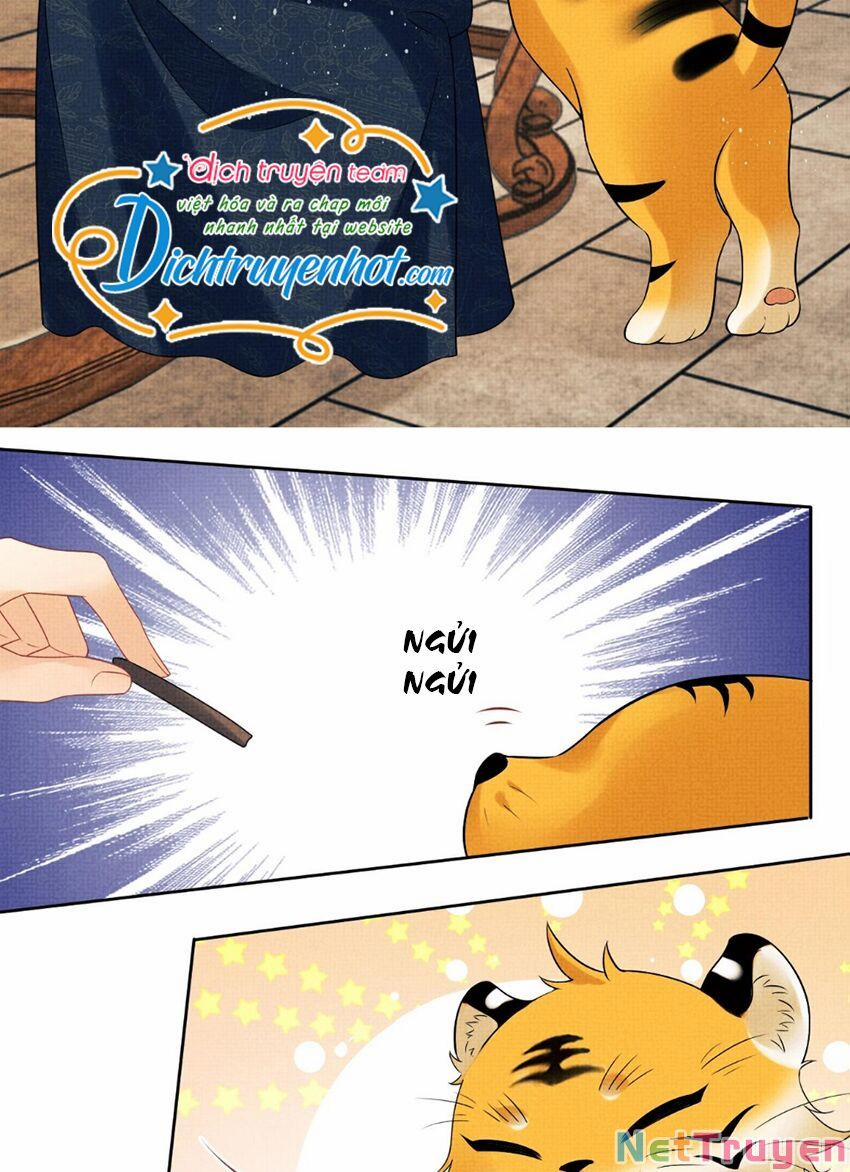 Thê Vi Thượng 111 trang 16