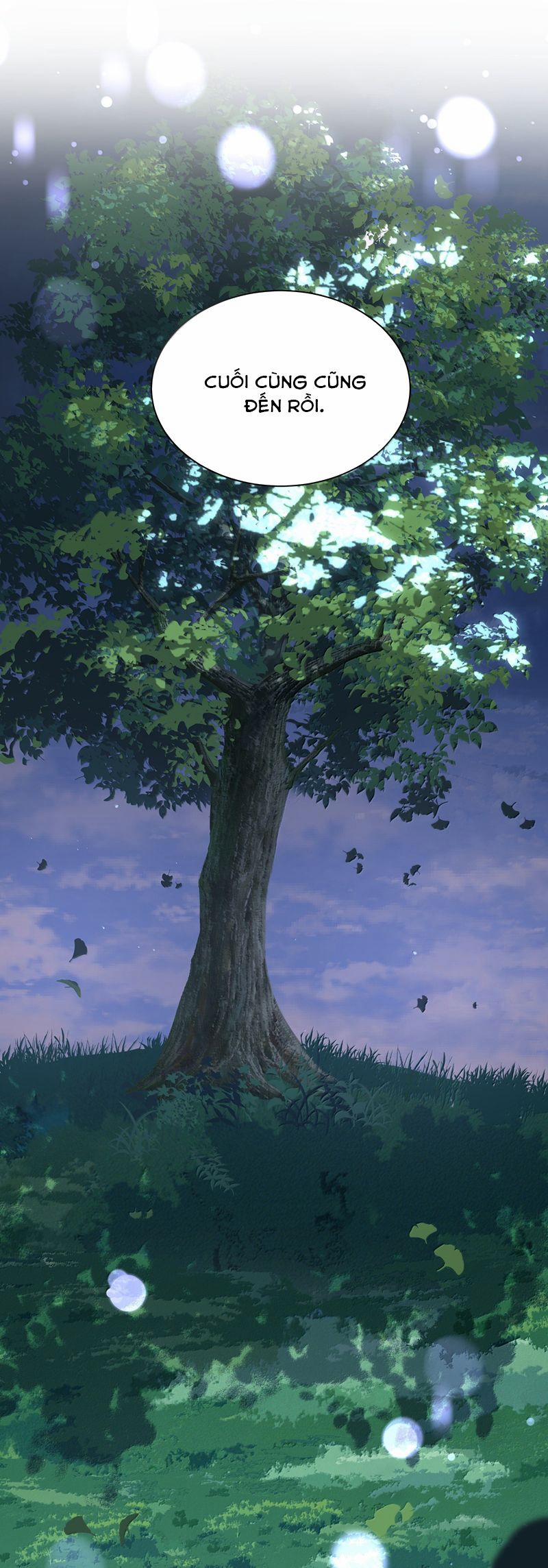 Theo Đuôi 106 trang 13