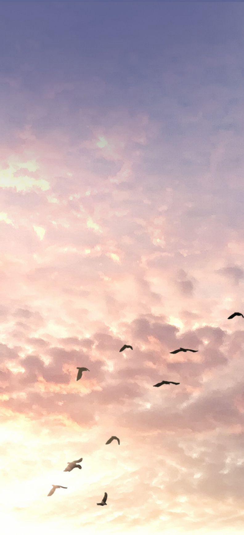 Theo Đuôi 23 trang 2