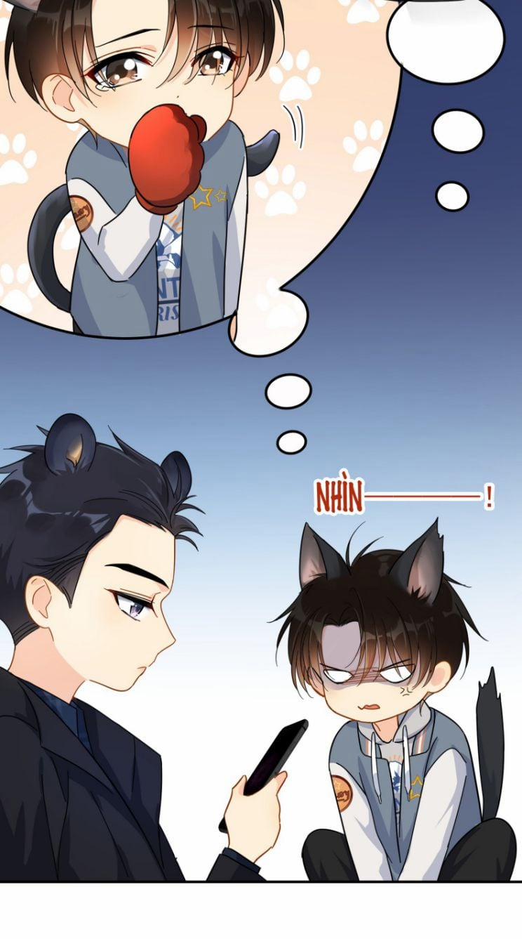 Theo Đuôi 27 trang 14