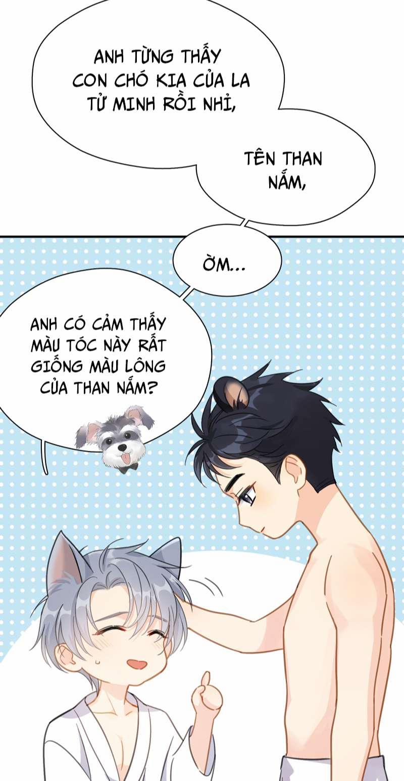 Theo Đuôi 72 trang 11