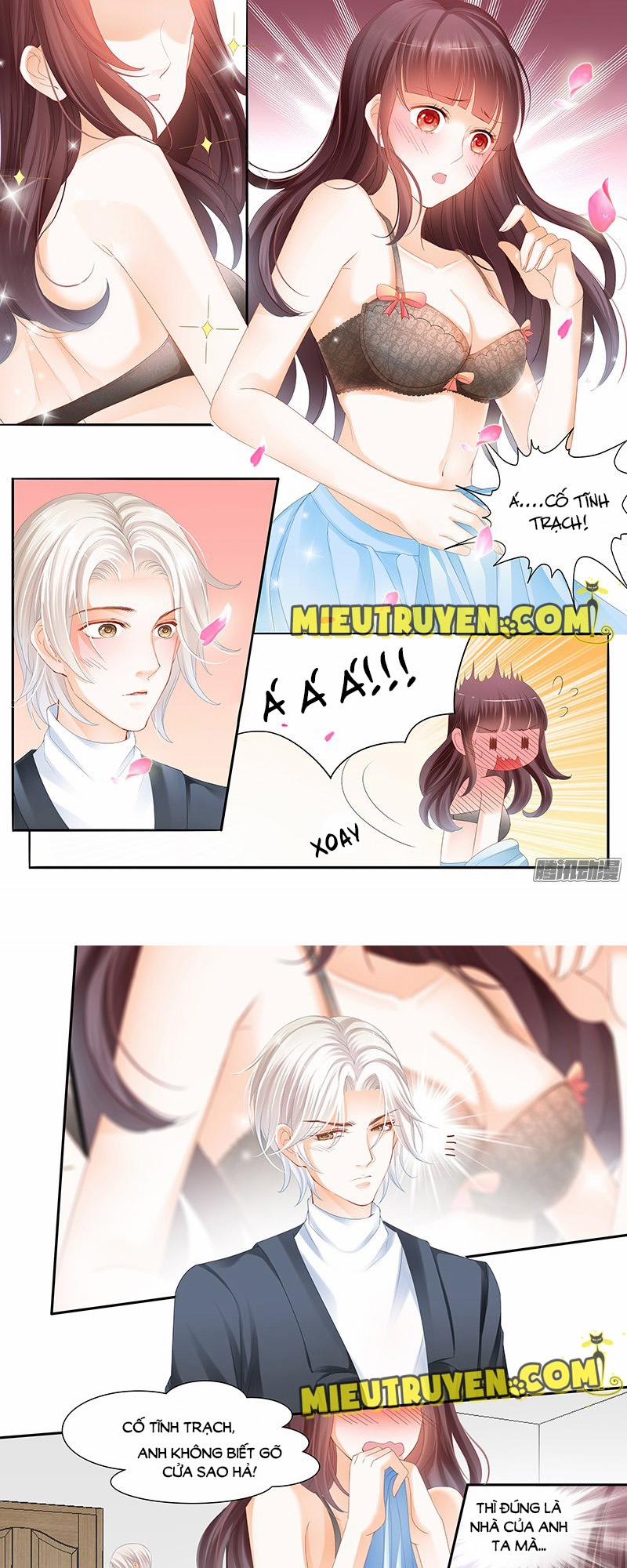 Thiểm Hôn Kiều Thê 14 trang 5