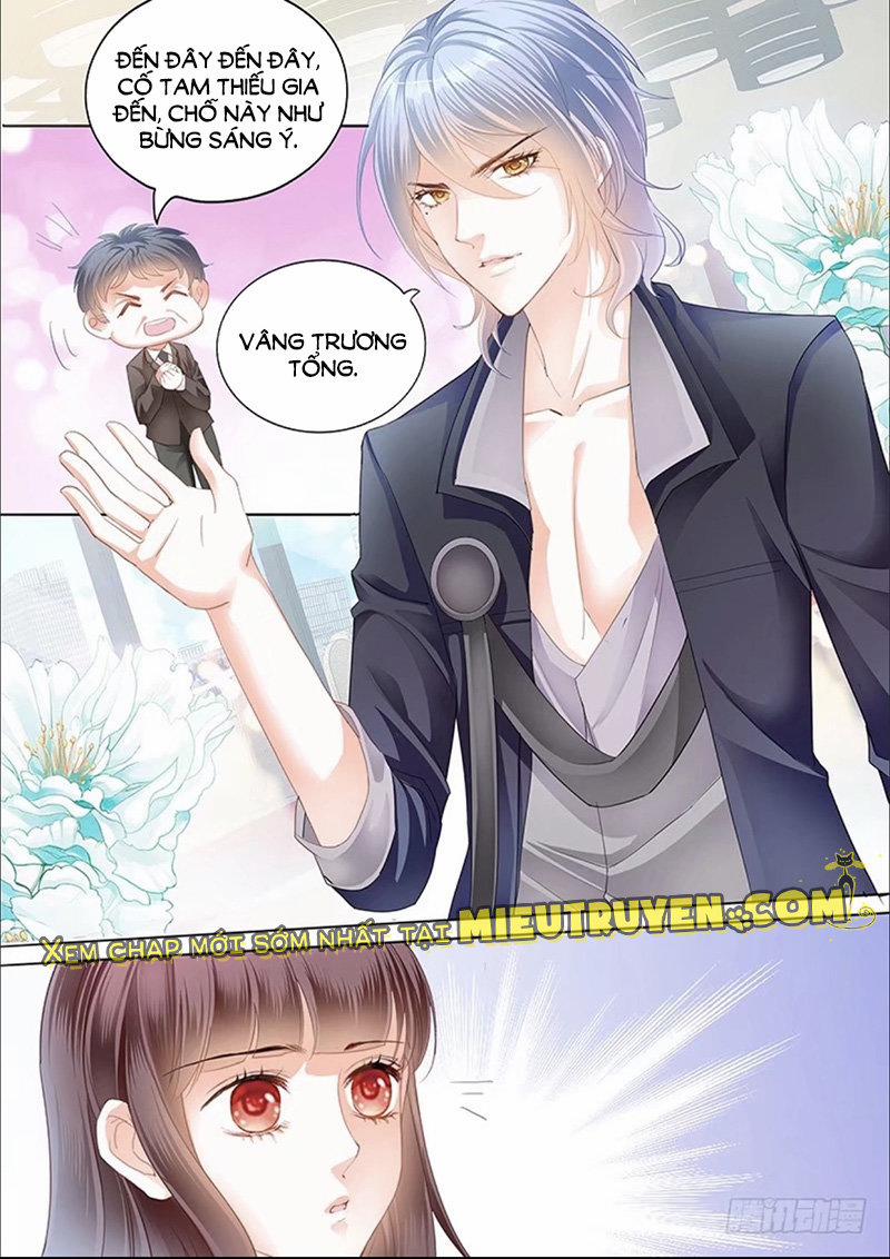 Thiểm Hôn Kiều Thê 142 trang 6