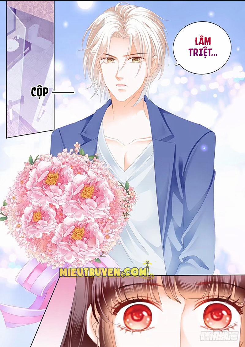 Thiểm Hôn Kiều Thê 152 trang 10