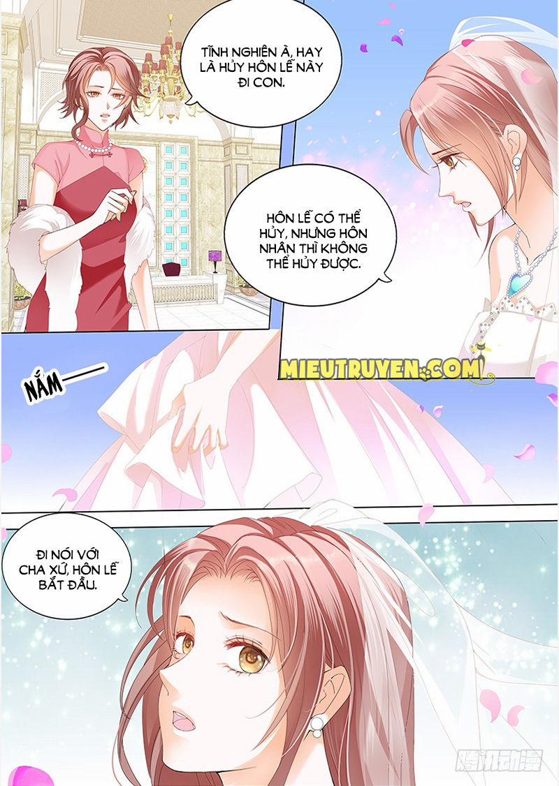 Thiểm Hôn Kiều Thê 163 trang 8