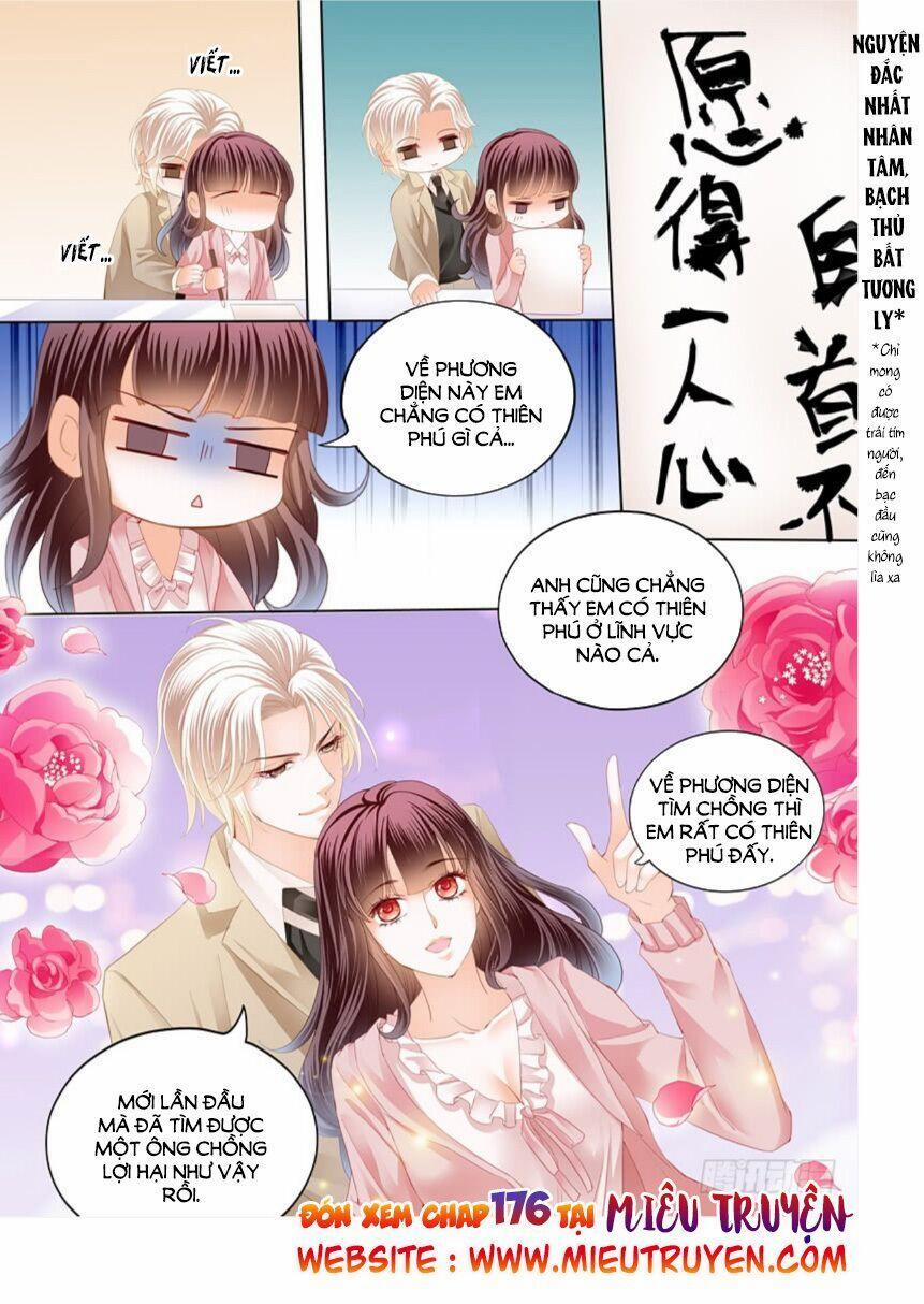 Thiểm Hôn Kiều Thê 175 trang 12