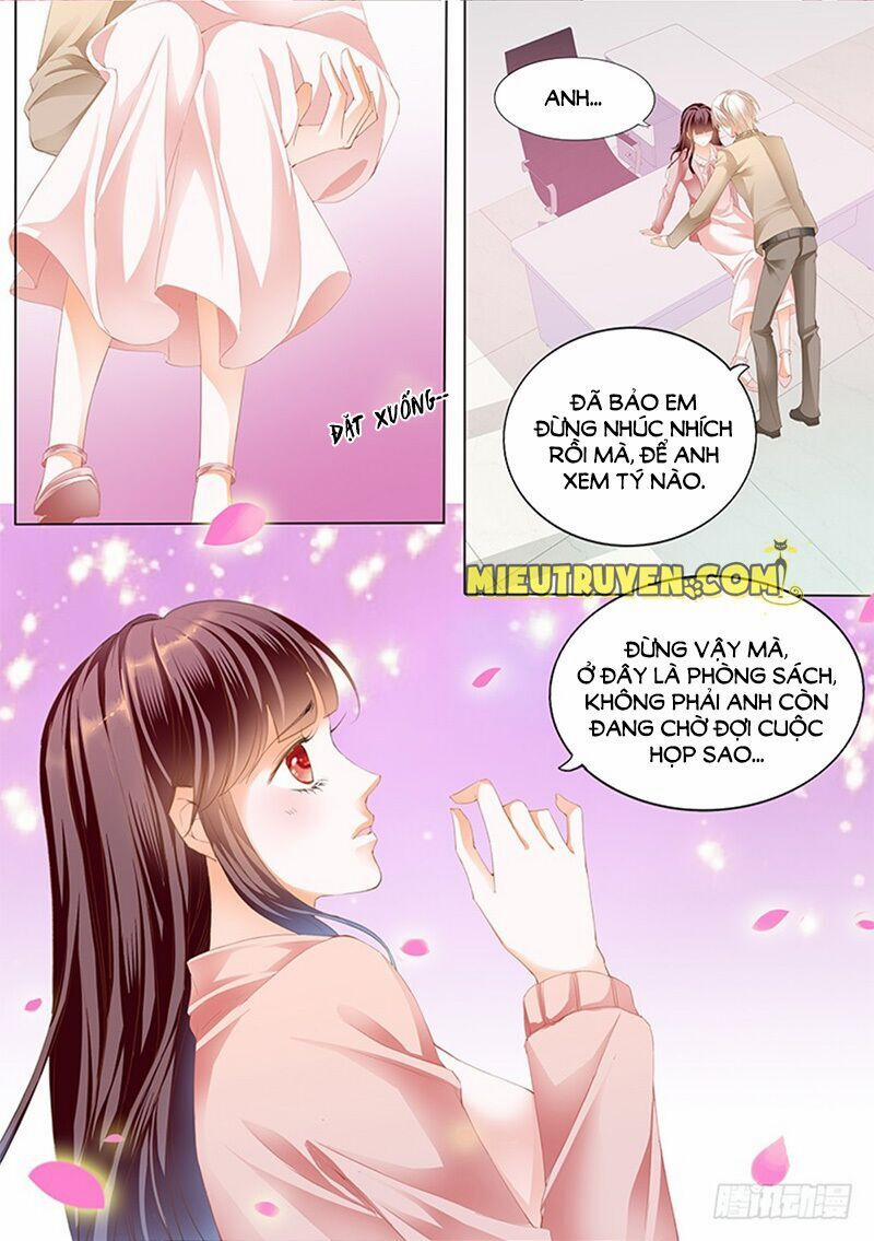 Thiểm Hôn Kiều Thê 176 trang 3