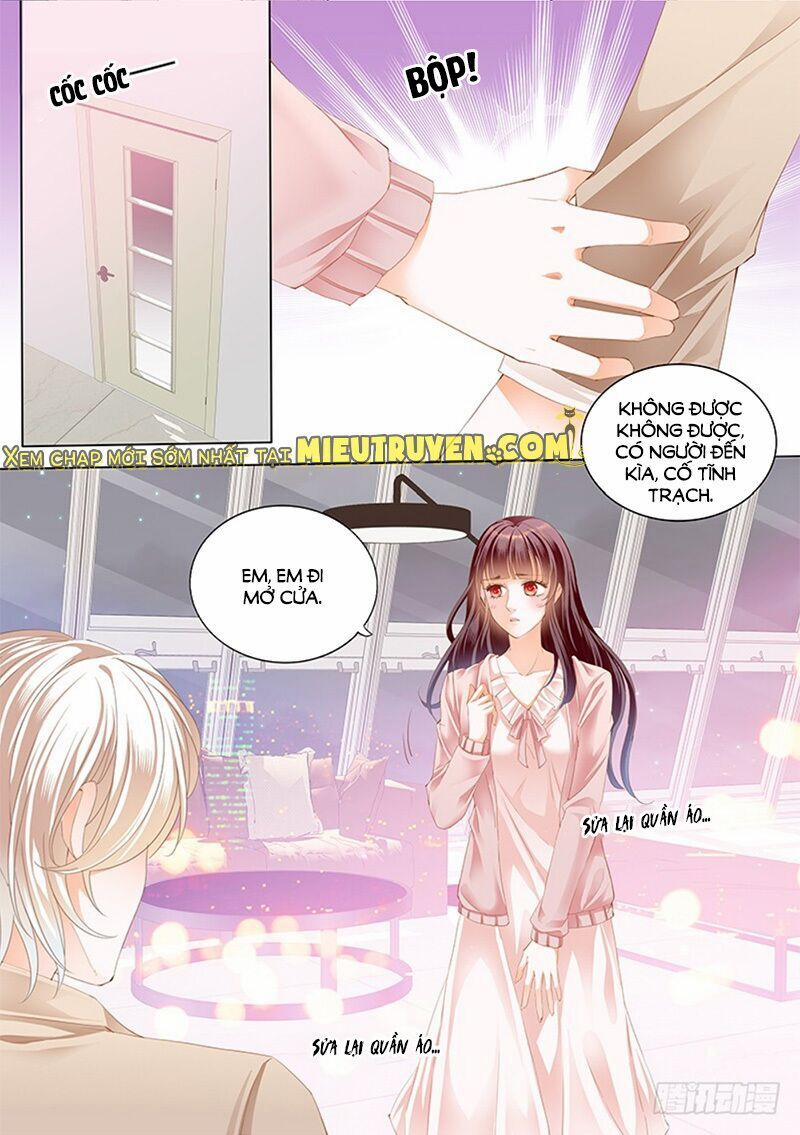 Thiểm Hôn Kiều Thê 176 trang 5