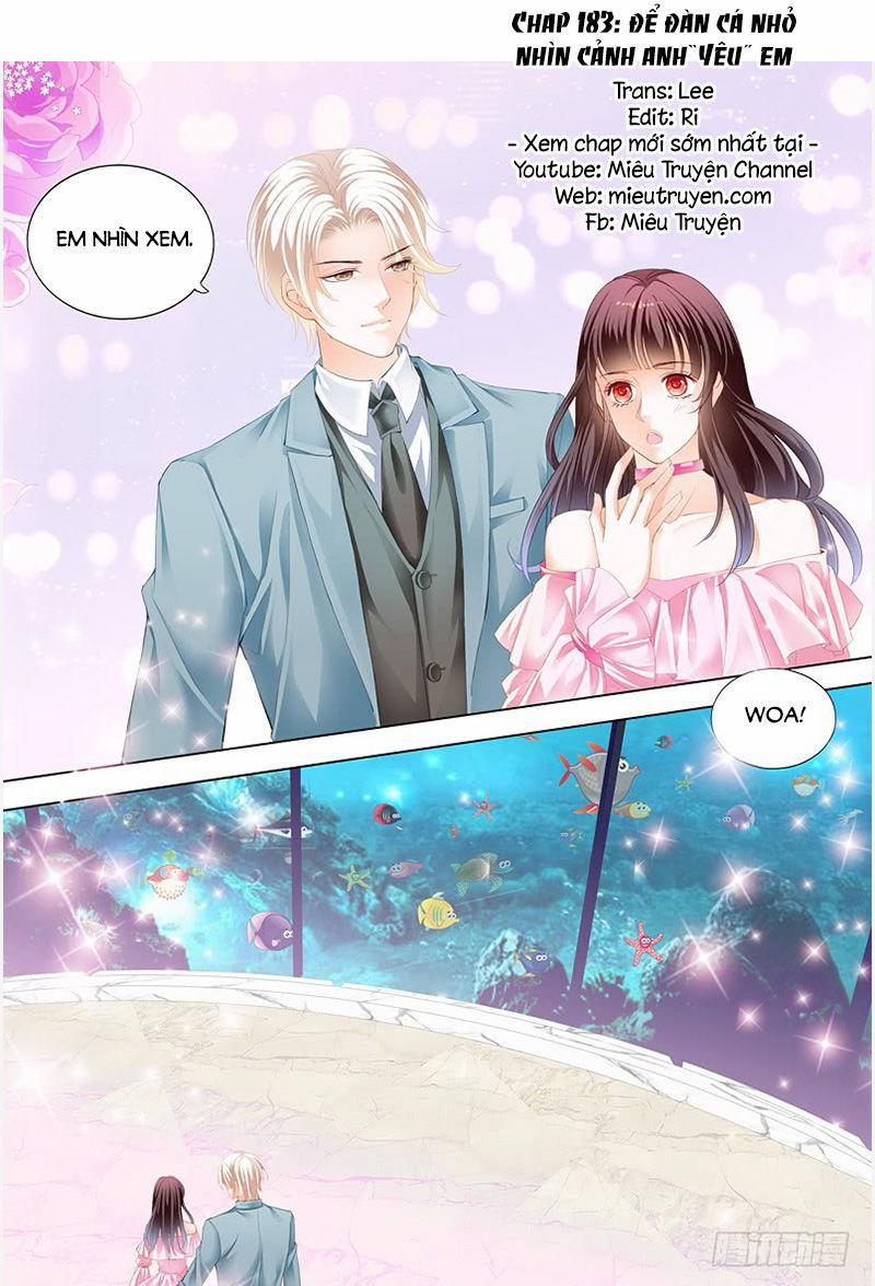 Thiểm Hôn Kiều Thê 183 trang 1