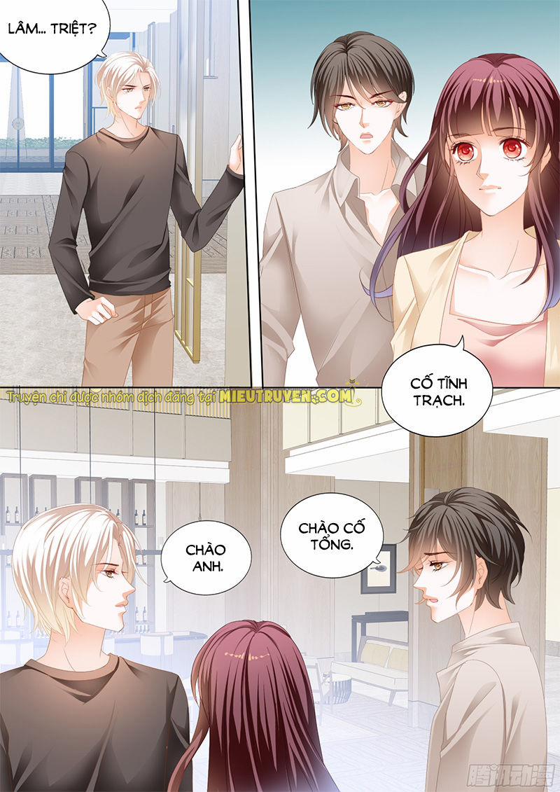 Thiểm Hôn Kiều Thê 183 trang 10