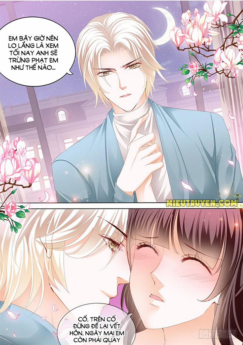 Thiểm Hôn Kiều Thê 184 trang 10