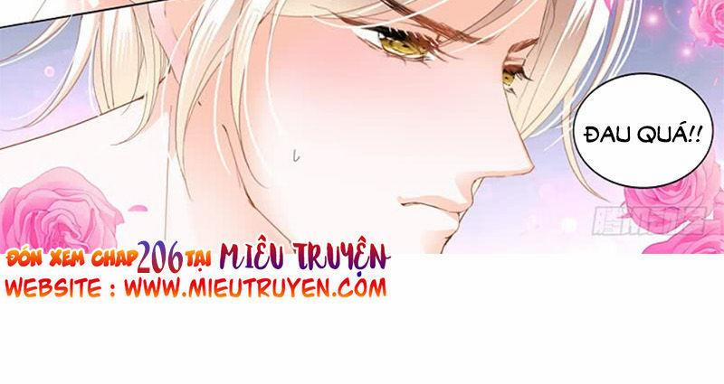 Thiểm Hôn Kiều Thê 205 trang 14