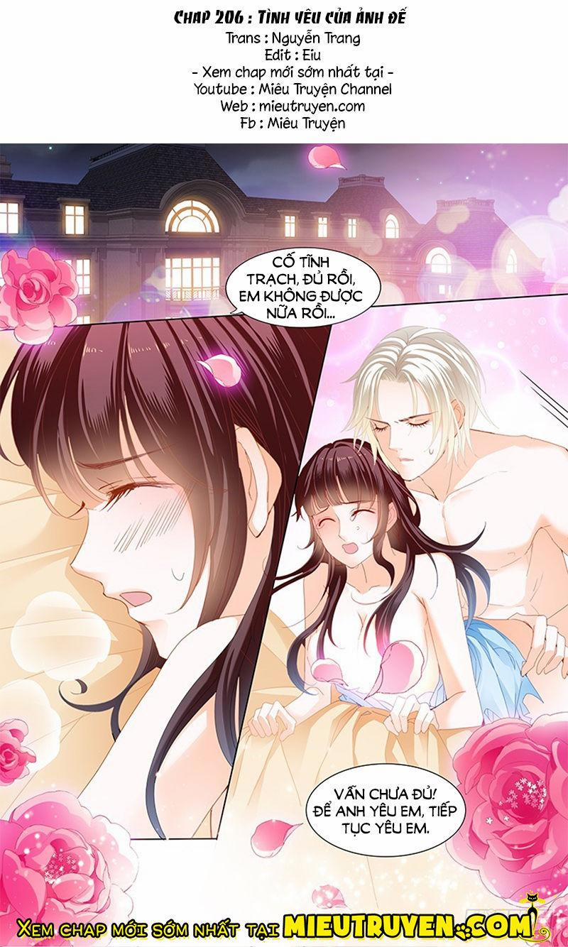 Thiểm Hôn Kiều Thê 206 trang 1