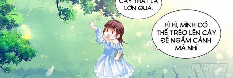 Thiểm Hôn Kiều Thê 207 trang 8