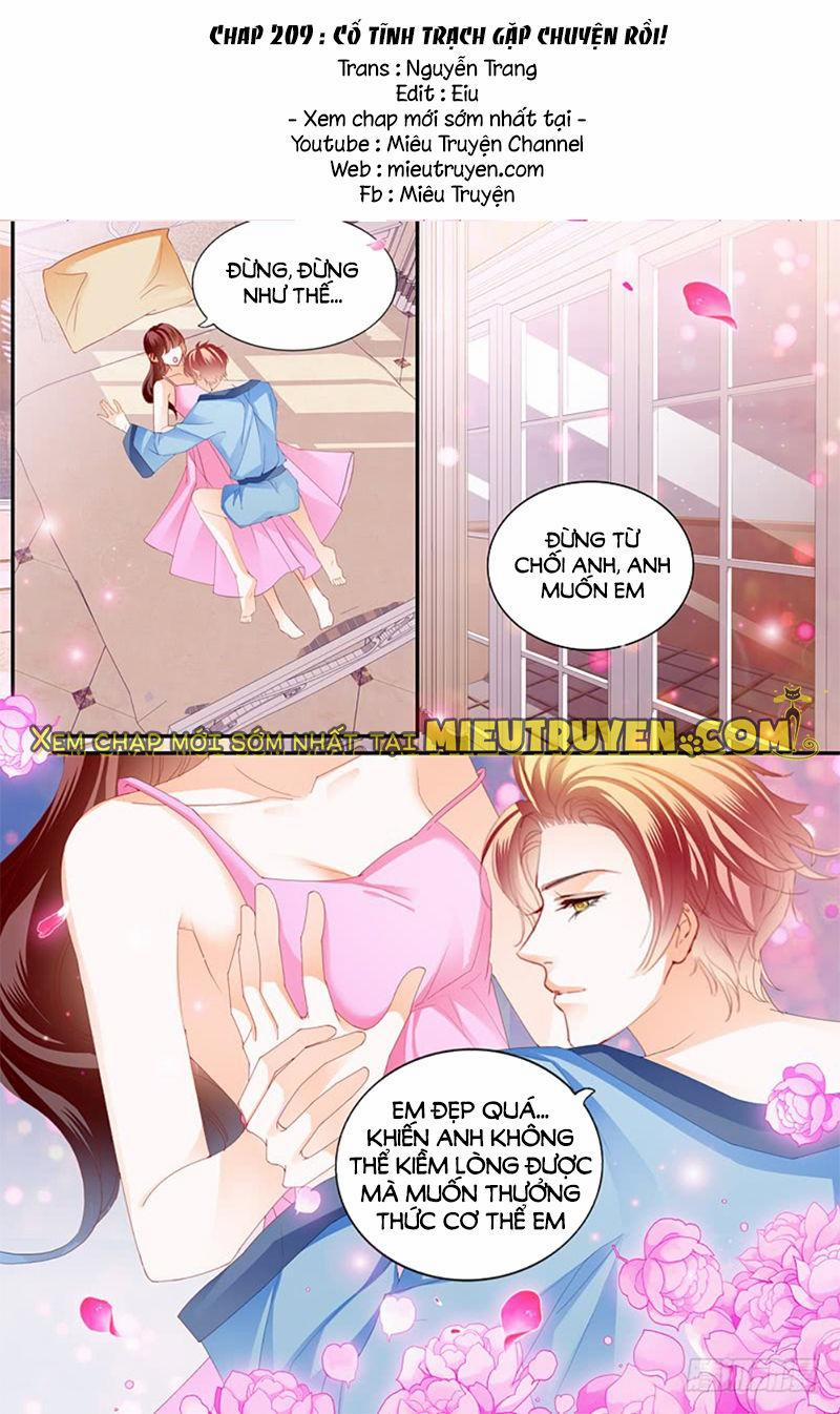 Thiểm Hôn Kiều Thê 209 trang 1