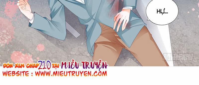 Thiểm Hôn Kiều Thê 209 trang 12