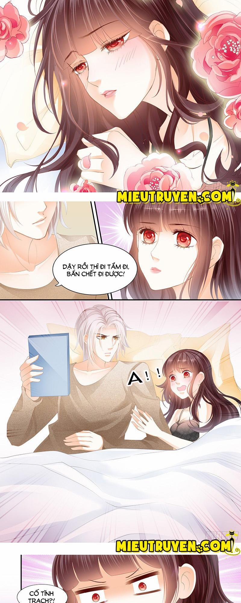 Thiểm Hôn Kiều Thê 21 trang 1