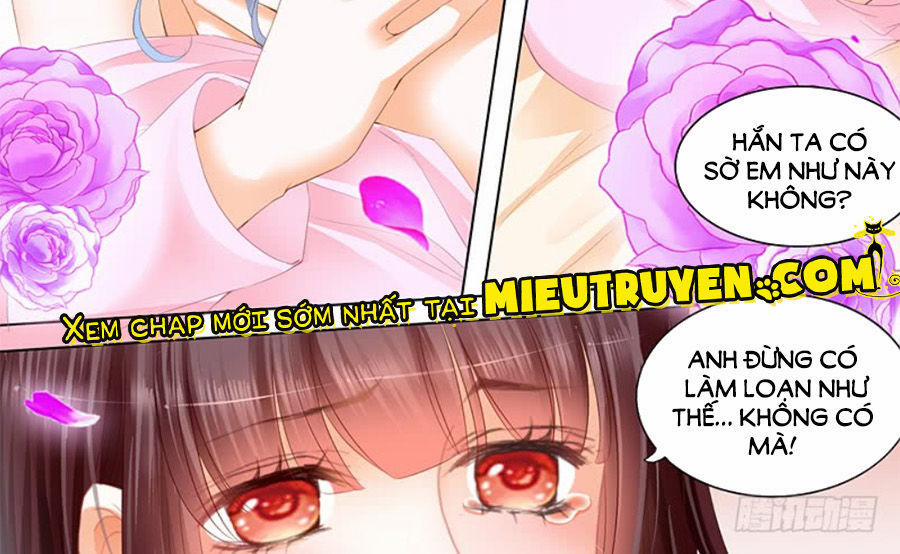 Thiểm Hôn Kiều Thê 213 trang 11