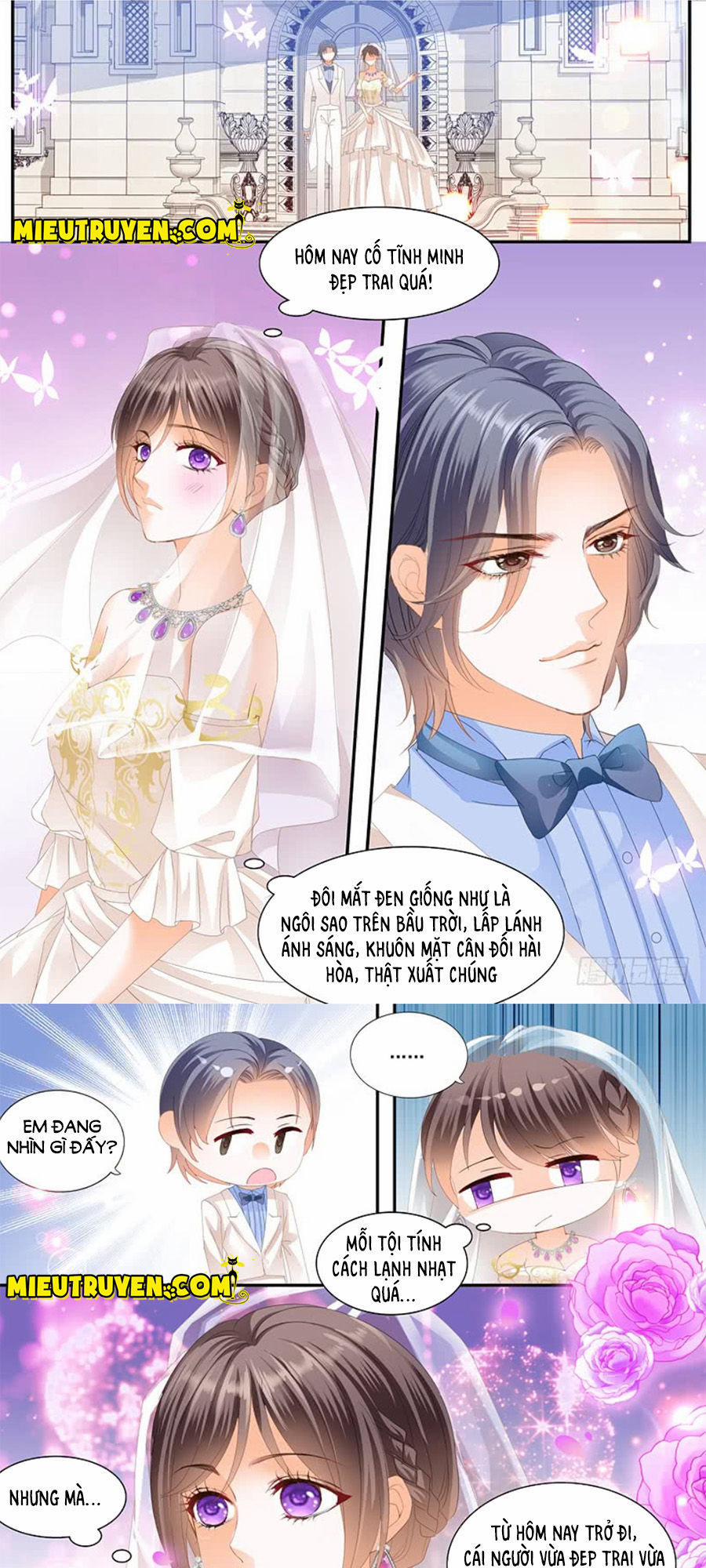 Thiểm Hôn Kiều Thê 214 trang 11