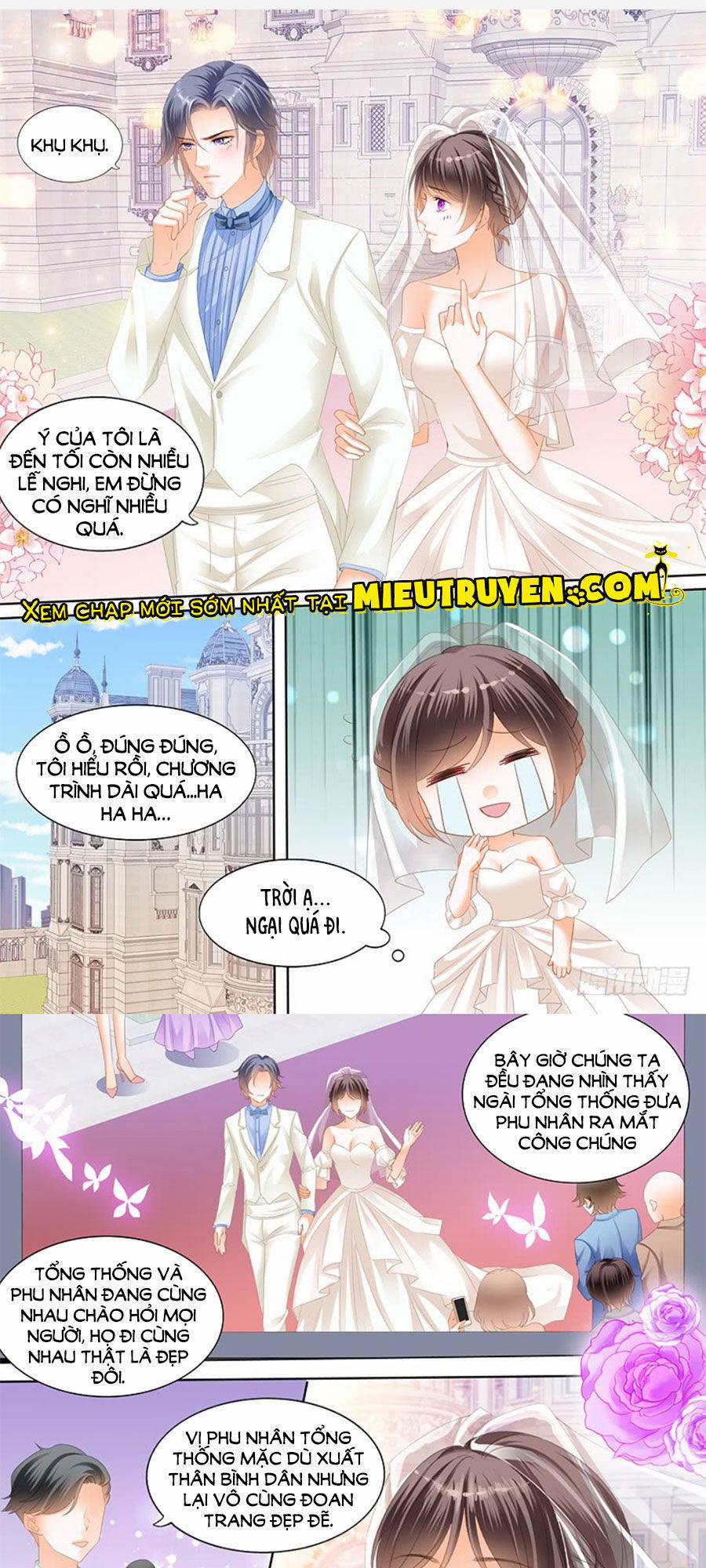 Thiểm Hôn Kiều Thê 215 trang 3