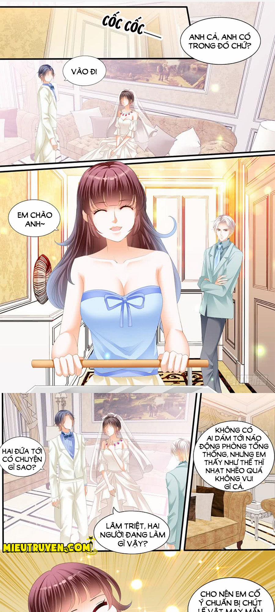 Thiểm Hôn Kiều Thê 217 trang 3