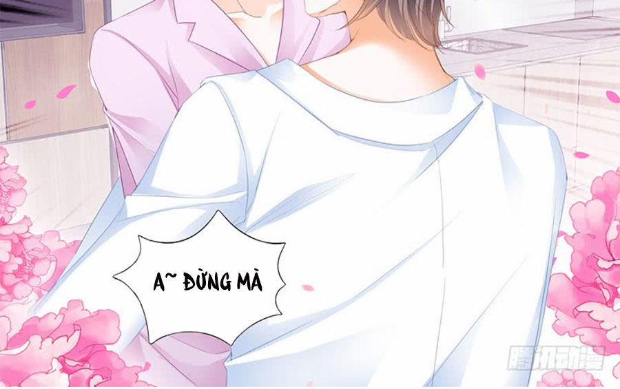 Thiểm Hôn Kiều Thê 223 trang 11