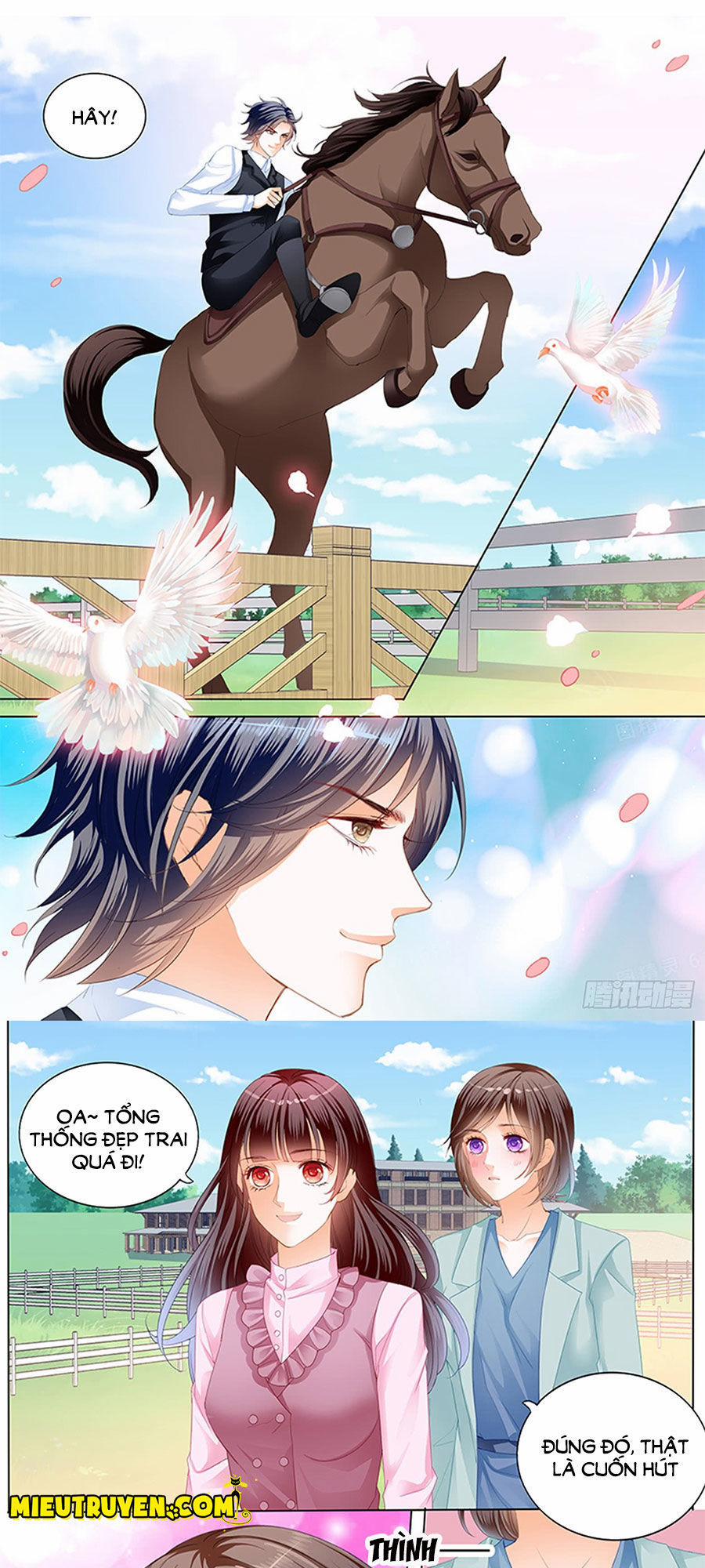 Thiểm Hôn Kiều Thê 225 trang 6