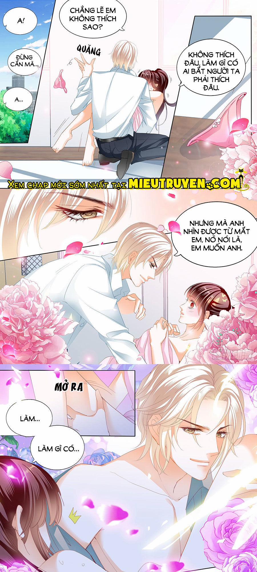 Thiểm Hôn Kiều Thê 230 trang 3