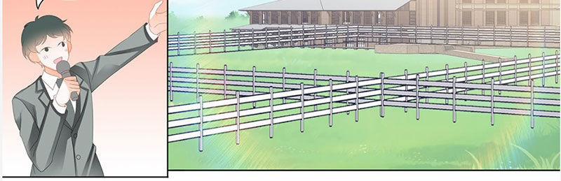 Thiểm Hôn Kiều Thê 234 trang 6