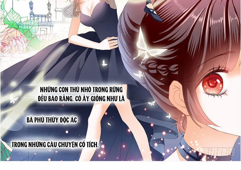 Thiểm Hôn Kiều Thê 237 trang 6